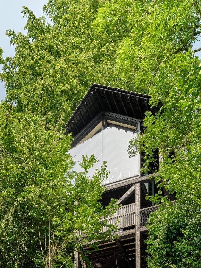 Hutstuf The Beaver & Private Outdoor Spa La-Roche-en-Ardenne Exterior foto